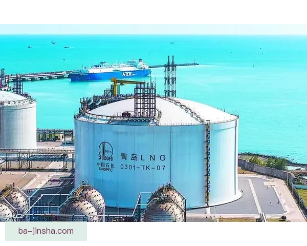 运营困境加剧温哥华白浪租约到期续签前景堪忧与未来抉择难题凸显